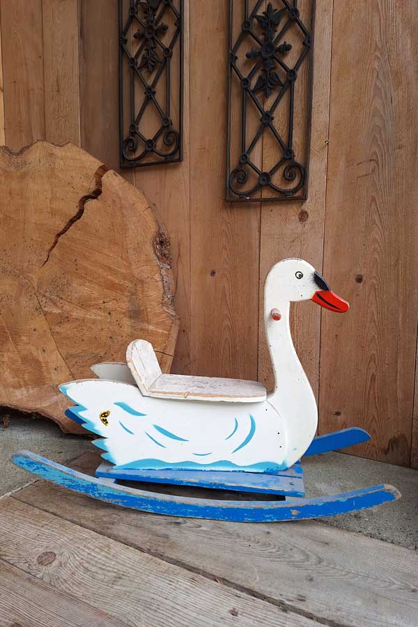 Schwan